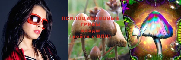 гашиш Богданович