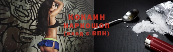 гашиш Богданович