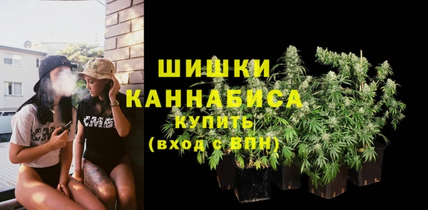 гашиш Богданович