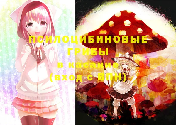 соль курить ск Богородицк