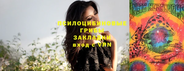 соль курить ск Богородицк