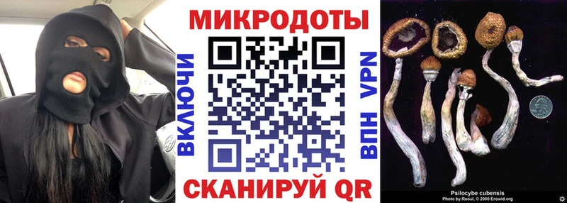 где купить наркоту  гидра   Галлюциногенные грибы MAGIC MUSHROOMS  Гусев 