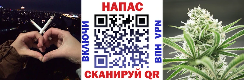 Шишки марихуана THC 21%  купить наркоту  Гусев 